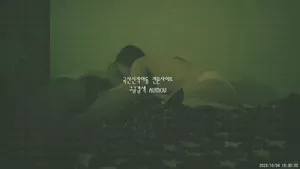 월세 대신 떡으로 월세받아가는 건물주.... 키스방건물주/질싸 서비스 해주는 키스방 혜진이  한국야동 국산야동