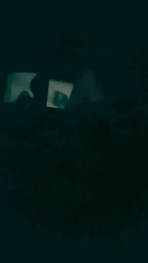 진성네토 - 호텔 직원 6편  국산야동 한국야동